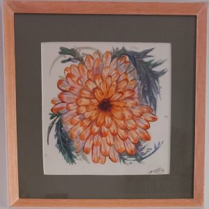 Flor Calendula